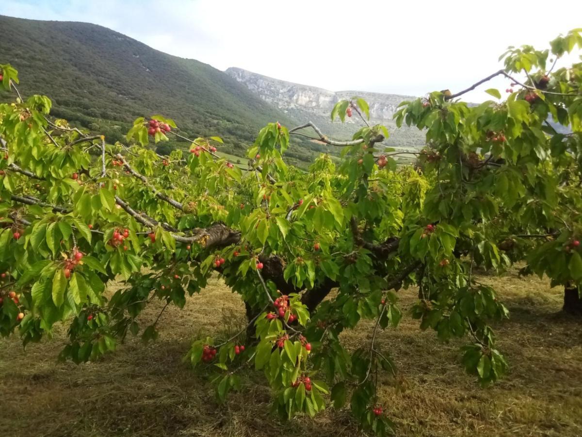 Casa Rural Ibarbegi II Διαμέρισμα Vidaurreta Εξωτερικό φωτογραφία